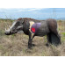Wildcrete Warthog Vital